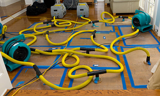 Professional Water Damage Repair technician working in Millinocket, ME